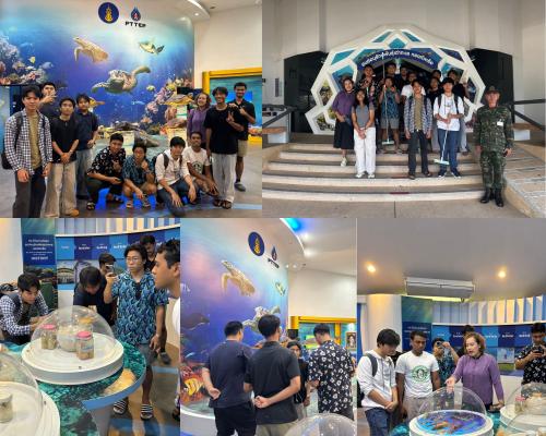 LUBC Students Join Sea Turtle Conservation Service Learning Trip